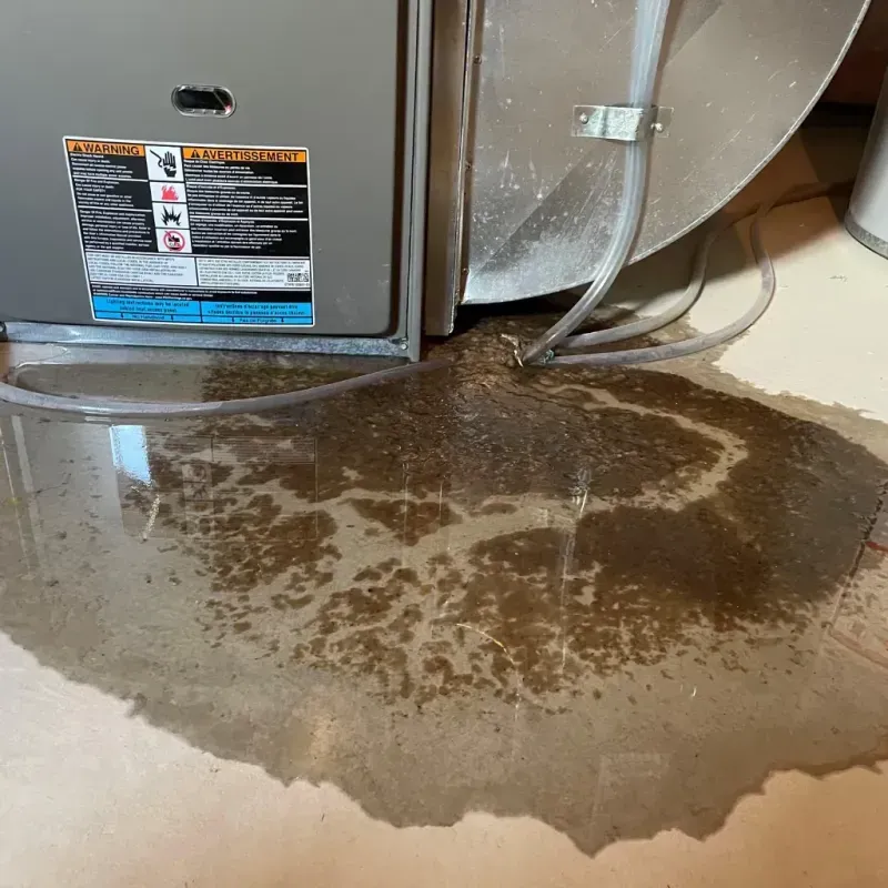 Appliance Leak Cleanup in Chebanse, IL